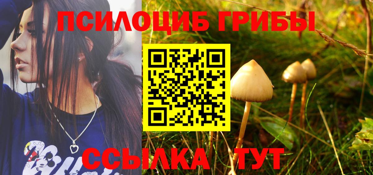Псилоцибиновые грибы Psilocybine cubensis  Псилоцибиновые грибы ЛСД  Карачаевск  Вход с VPN 